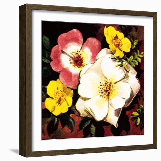 Rose-English School-Framed Giclee Print