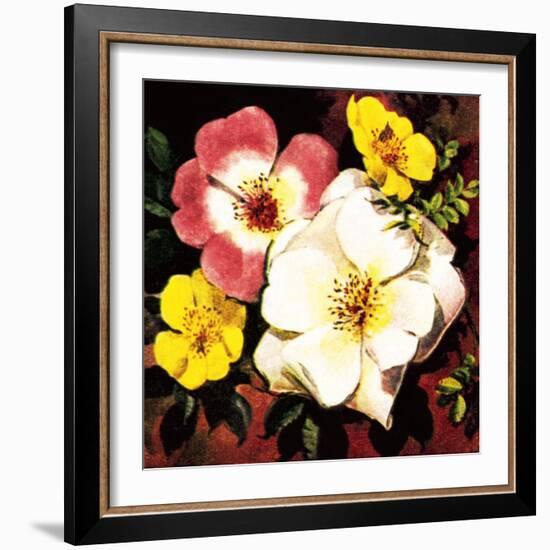 Rose-English School-Framed Giclee Print