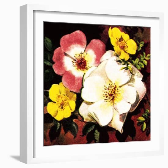 Rose-English School-Framed Giclee Print