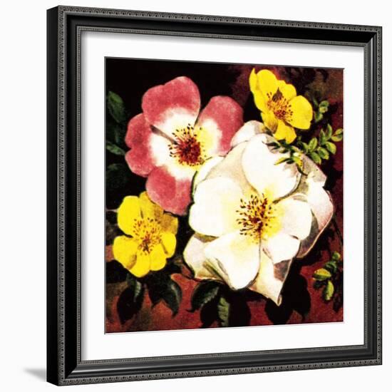 Rose-English School-Framed Giclee Print