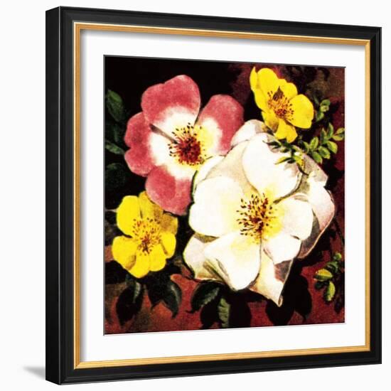 Rose-English School-Framed Giclee Print