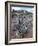 Roseata Gilia (Gilia Roseata) and South Window, Arches National Park, Utah, USA-James Hager-Framed Photographic Print