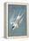 Roseate Fern-John James Audubon-Framed Stretched Canvas