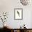 Roseate Parakeet - Polytelis Swainsoni-Edward Lear-Framed Art Print displayed on a wall