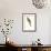 Roseate Parakeet - Polytelis Swainsoni-Edward Lear-Framed Art Print displayed on a wall
