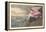 Roseate Spoonbill, 1836-John James Audubon-Framed Premier Image Canvas