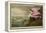 Roseate Spoonbill (Platalea Ajaja)-Henry Thomas Alken-Framed Premier Image Canvas