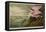 Roseate Spoonbill (Platalea Ajaja)-Henry Thomas Alken-Framed Premier Image Canvas