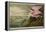 Roseate Spoonbill (Platalea Ajaja)-Henry Thomas Alken-Framed Premier Image Canvas