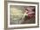 Roseate Spoonbill-John James Audubon-Framed Art Print