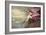 Roseate Spoonbill-John James Audubon-Framed Art Print