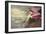 Roseate Spoonbill-John James Audubon-Framed Art Print