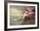 Roseate Spoonbill-John James Audubon-Framed Art Print