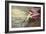 Roseate Spoonbill-John James Audubon-Framed Art Print