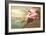 Roseate Spoonbill-John James Audubon-Framed Art Print