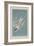 Roseate Tern, 1835-John James Audubon-Framed Giclee Print