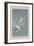 Roseate Tern, 1835-John James Audubon-Framed Giclee Print