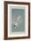 Roseate Tern, 1835-John James Audubon-Framed Giclee Print