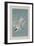 Roseate Tern, 1835-John James Audubon-Framed Giclee Print