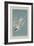 Roseate Tern, 1835-John James Audubon-Framed Giclee Print