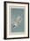 Roseate Tern, 1835-John James Audubon-Framed Giclee Print