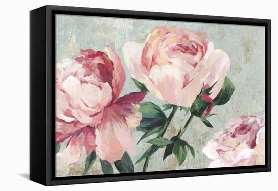 Rosebush-Asia Jensen-Framed Stretched Canvas