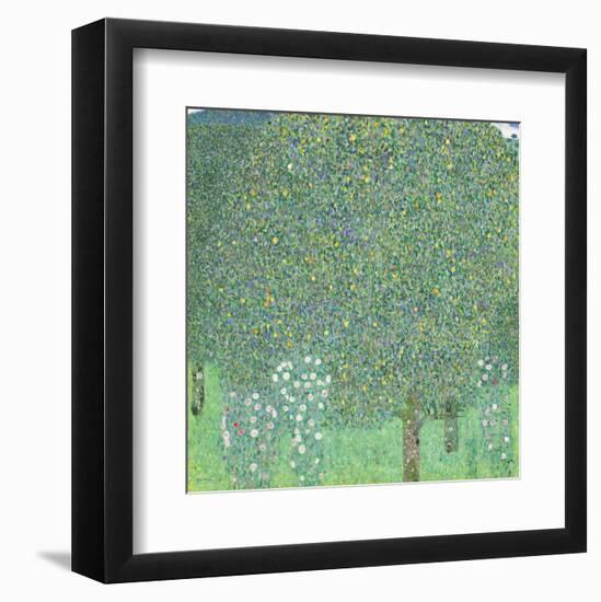 Rosebushes under the Trees, ca. 1905-Gustav Klimt-Framed Art Print