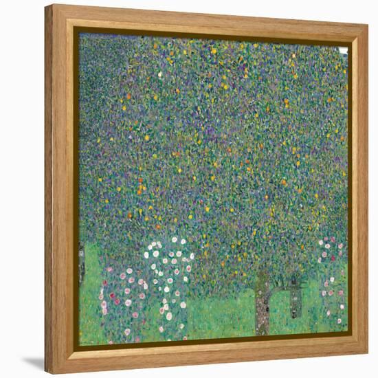 Rosebushes under the Trees-Gustav Klimt-Framed Premier Image Canvas