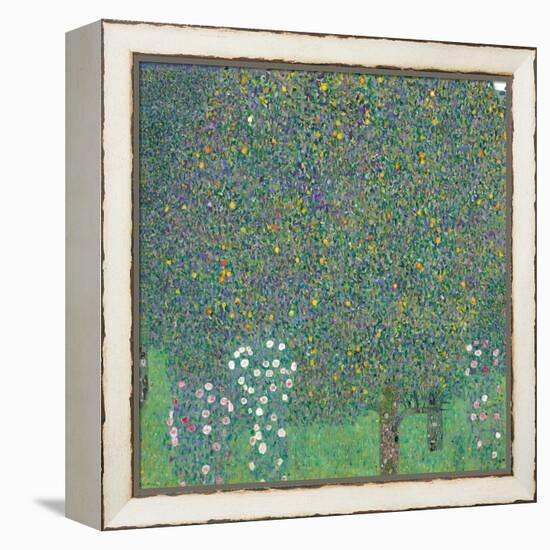 Rosebushes under the Trees-Gustav Klimt-Framed Premier Image Canvas