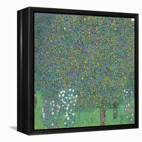 Rosebushes under the Trees-Gustav Klimt-Framed Premier Image Canvas