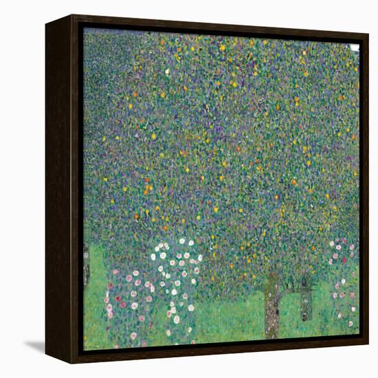 Rosebushes under the Trees-Gustav Klimt-Framed Premier Image Canvas