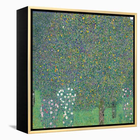 Rosebushes under the Trees-Gustav Klimt-Framed Premier Image Canvas