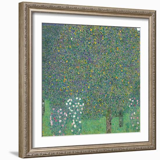Rosebushes under the Trees-Gustav Klimt-Framed Giclee Print