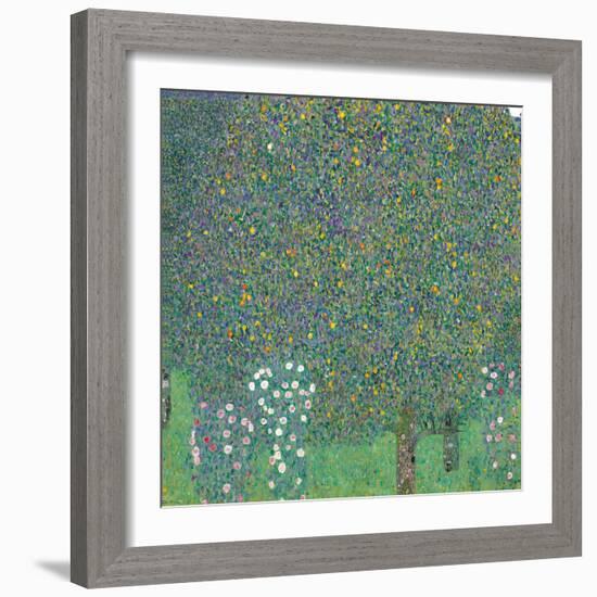 Rosebushes under the Trees-Gustav Klimt-Framed Giclee Print