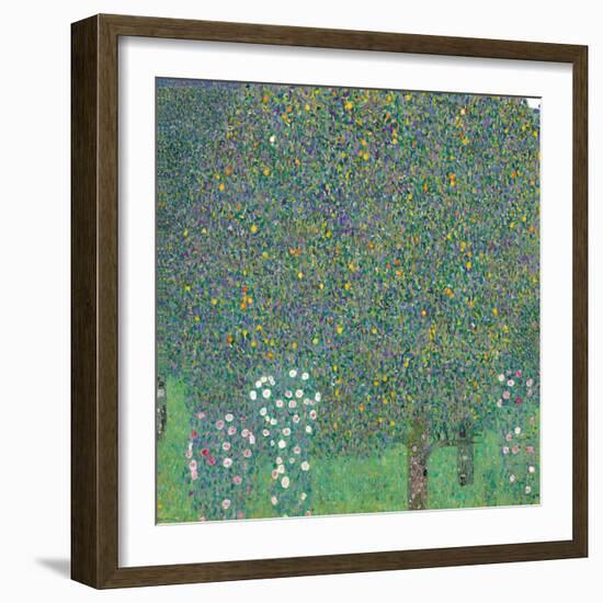 Rosebushes under the Trees-Gustav Klimt-Framed Giclee Print