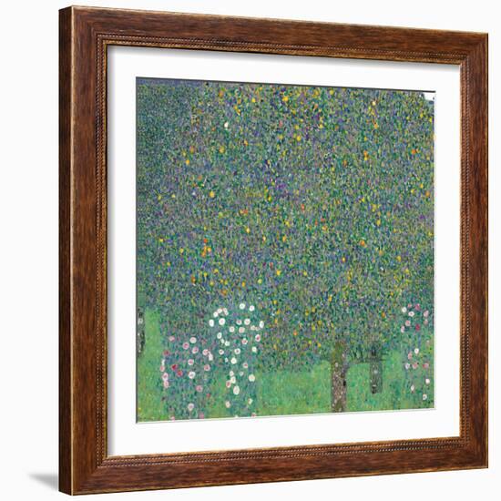 Rosebushes under the Trees-Gustav Klimt-Framed Giclee Print