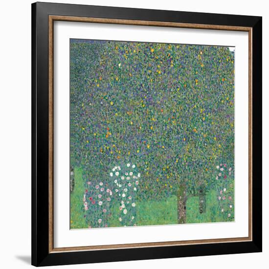 Rosebushes under the Trees-Gustav Klimt-Framed Giclee Print