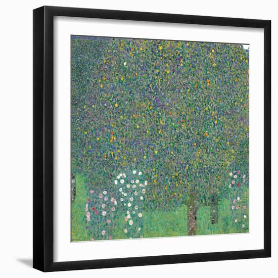 Rosebushes under the Trees-Gustav Klimt-Framed Giclee Print