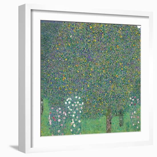 Rosebushes under the Trees-Gustav Klimt-Framed Giclee Print