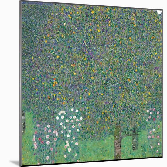 Rosebushes under the Trees-Gustav Klimt-Mounted Giclee Print