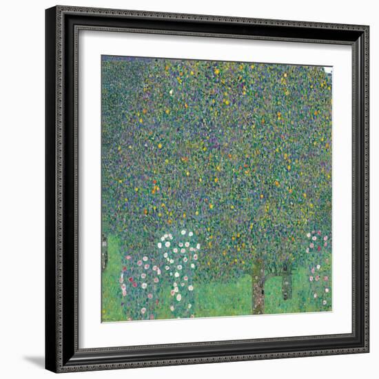 Rosebushes under the Trees-Gustav Klimt-Framed Giclee Print