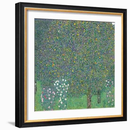 Rosebushes under the Trees-Gustav Klimt-Framed Giclee Print