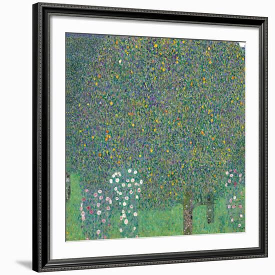 Rosebushes under the Trees-Gustav Klimt-Framed Giclee Print