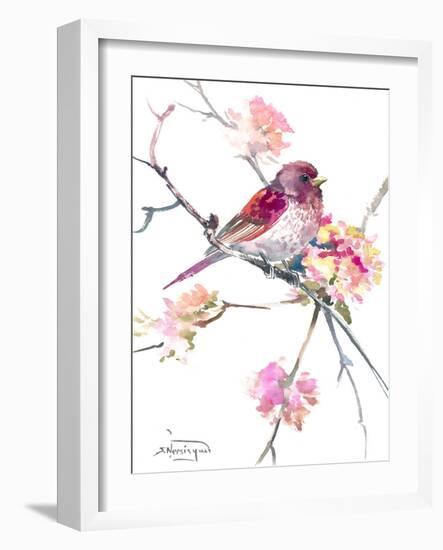 Rosefinch-Suren Nersisyan-Framed Art Print