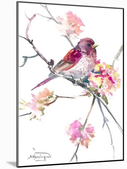 Rosefinch-Suren Nersisyan-Mounted Art Print