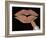 Rosegold Kiss-Tina Lavoie-Framed Giclee Print