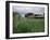 Roseman Covered Bridge, Iowa, USA-null-Framed Photographic Print