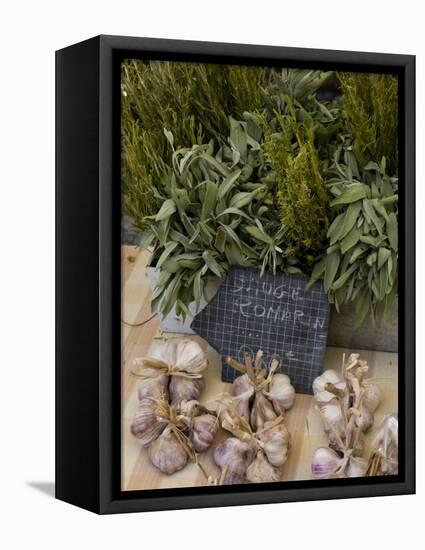 Rosemary and Garlic, Moustiers-Sainte-Marie, Provence, France-Sergio Pitamitz-Framed Premier Image Canvas