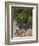 Rosemary and Garlic, Moustiers-Sainte-Marie, Provence, France-Sergio Pitamitz-Framed Photographic Print