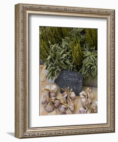 Rosemary and Garlic, Moustiers-Sainte-Marie, Provence, France-Sergio Pitamitz-Framed Photographic Print